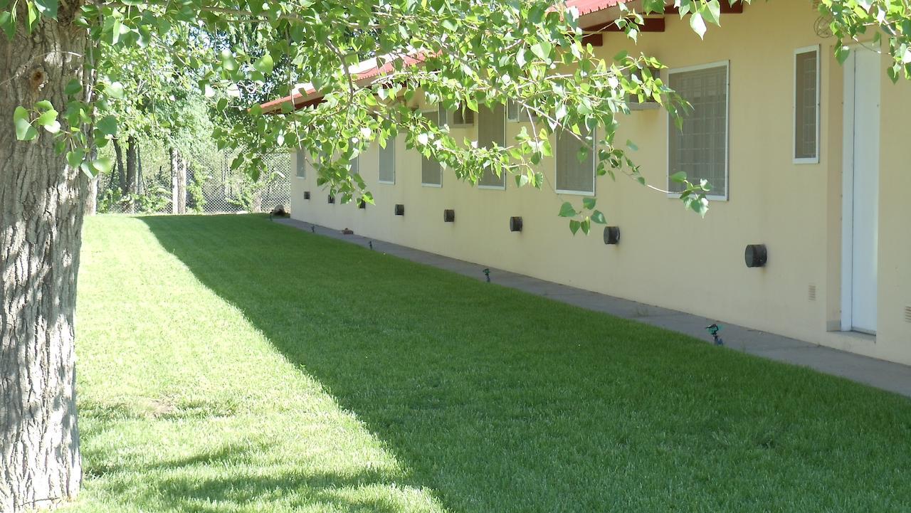 Hotel Quelu Leufu Río Colorado Oda fotoğraf